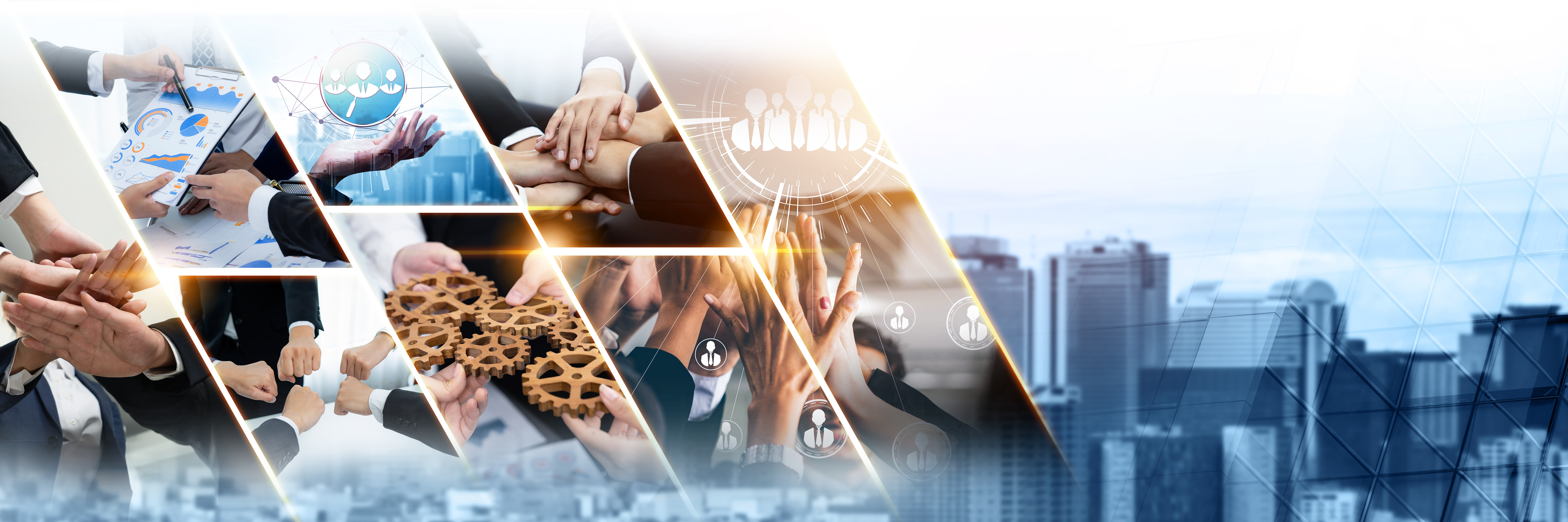 Blog – Friendly Giants Foundation