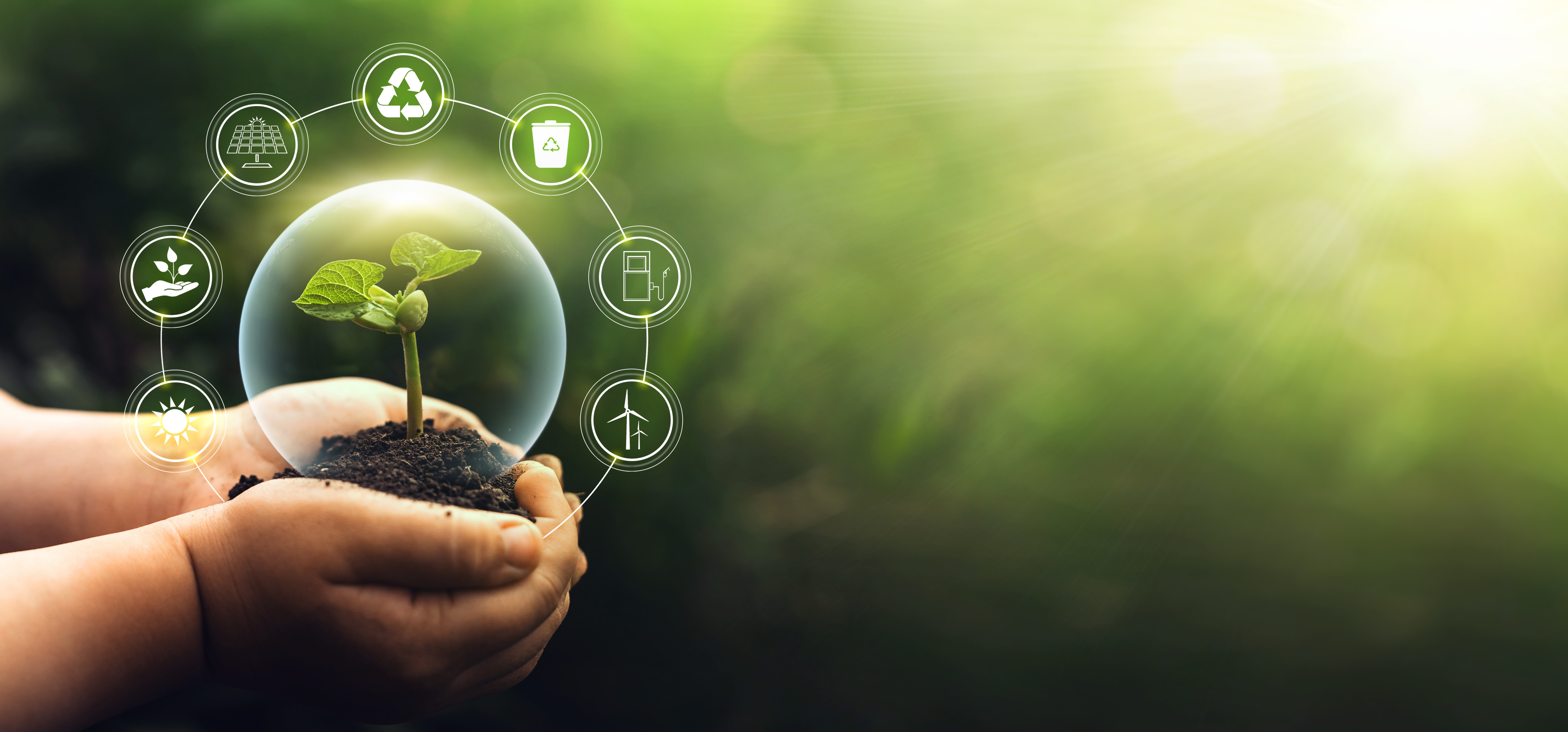 Sustainable Environment